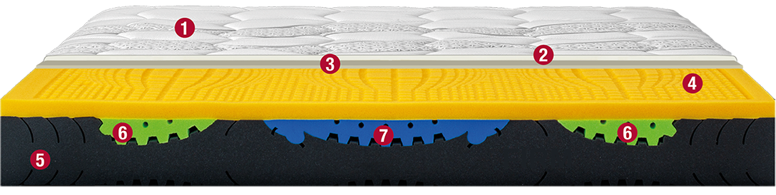Sezionato Nutrice Soft