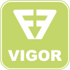 Vigor Orthopedic
