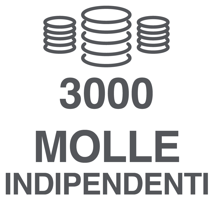 3000 Molle