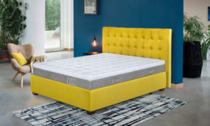 Linea PiFlex