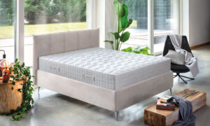 Linea Molle