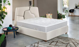 Linea Smart